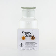 Honeycomb and Bee Earrings