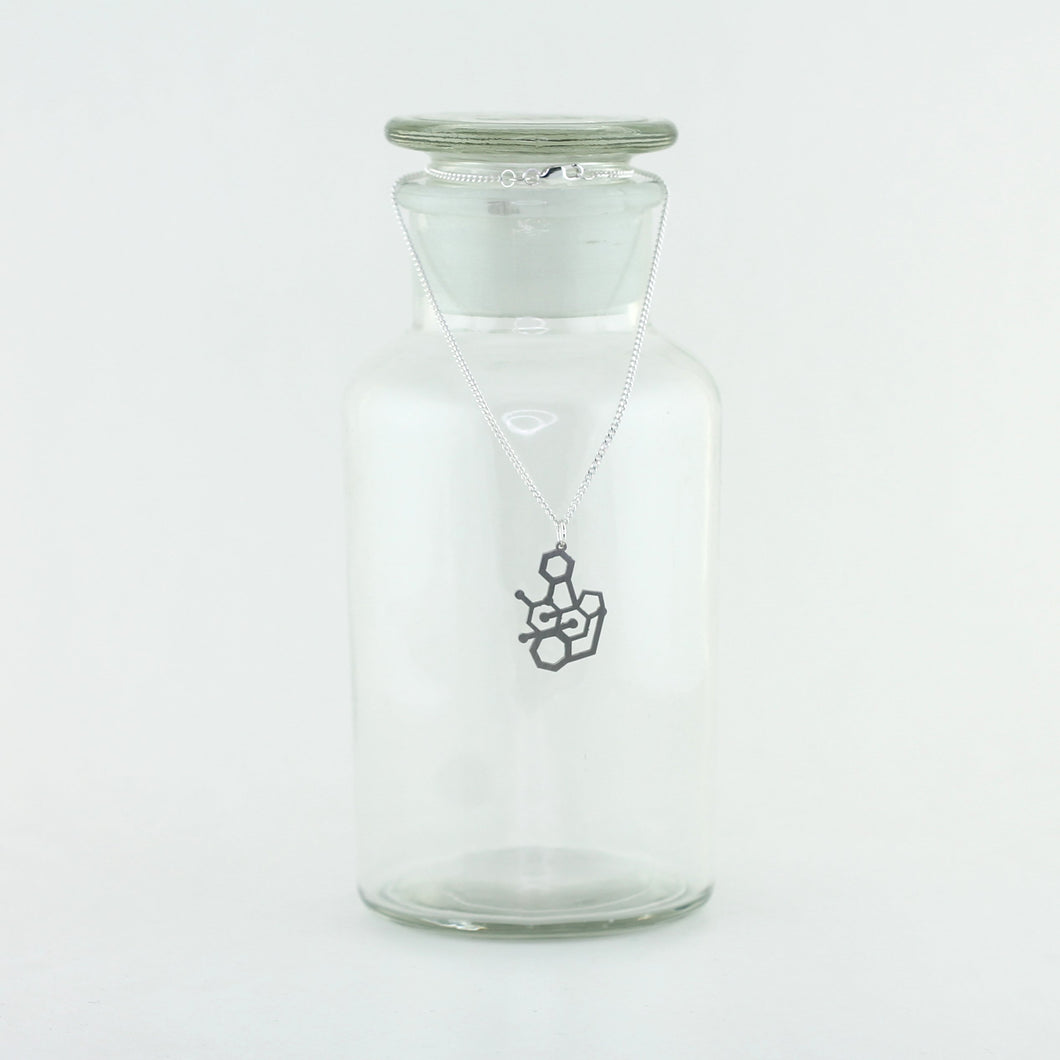 Strychnine Poison Molecule Necklace in Stainless Steel