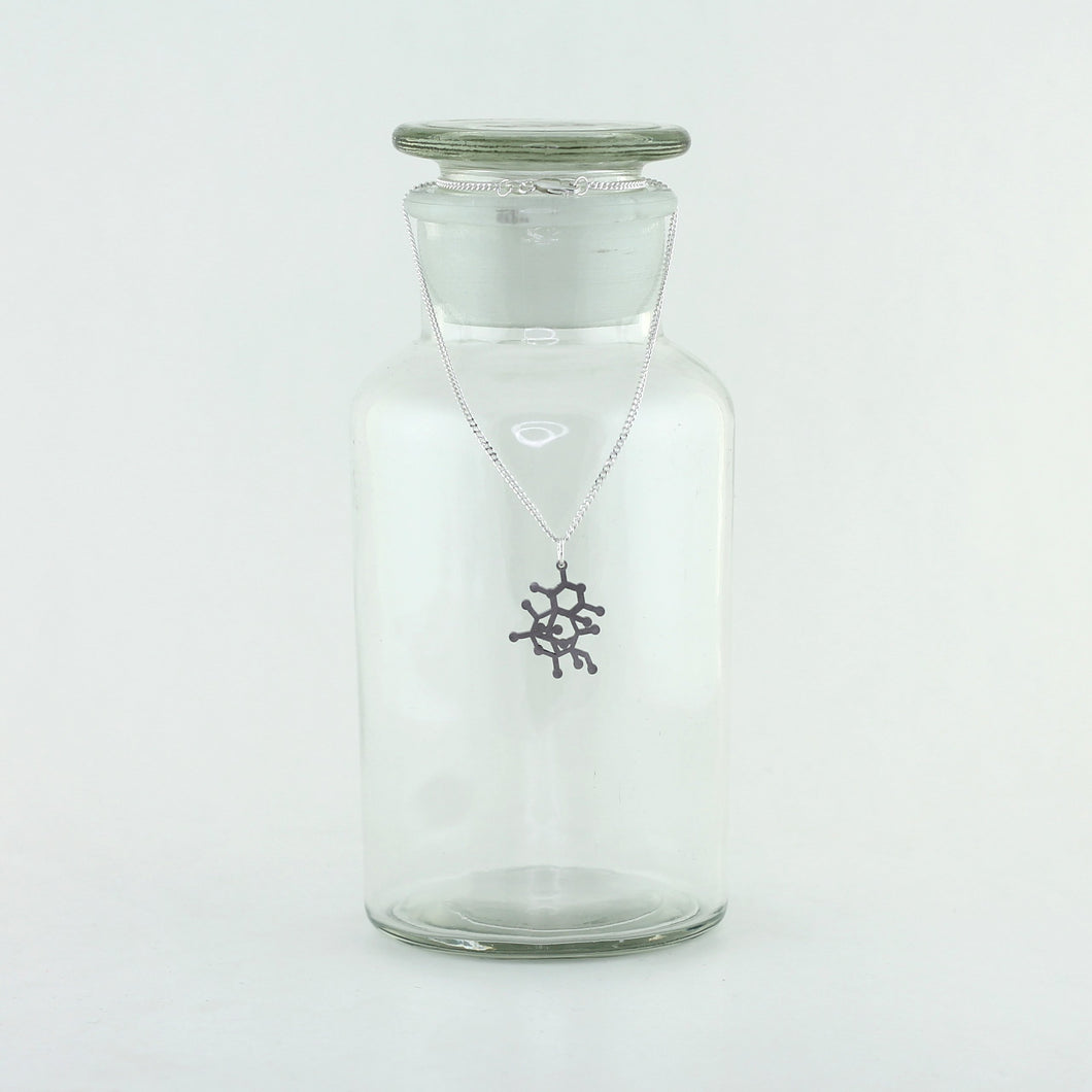 Tetrodotoxin Poison Molecule Necklace in Stainless Steel