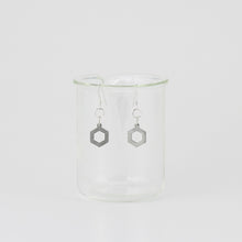 Benzene Molecule Earrings in Stainless Steel