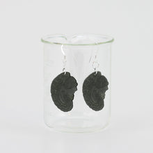 Anatomical Human Brain Earrings in Tranparent Grey Acrylic