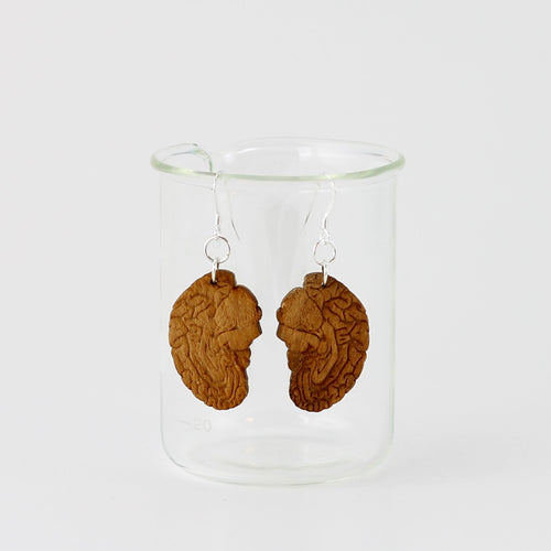 Anatomical Human Brain Earrings in Birch Plywood