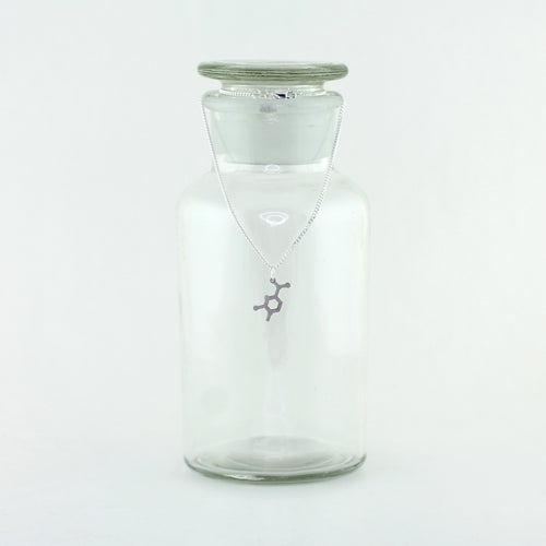 Cytosine Molecule Charm Necklace in Stainless Steel