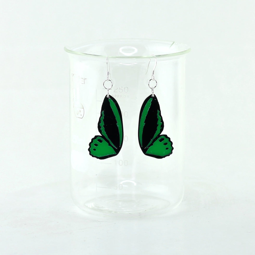 Green Birdwing Butterfly Earrings