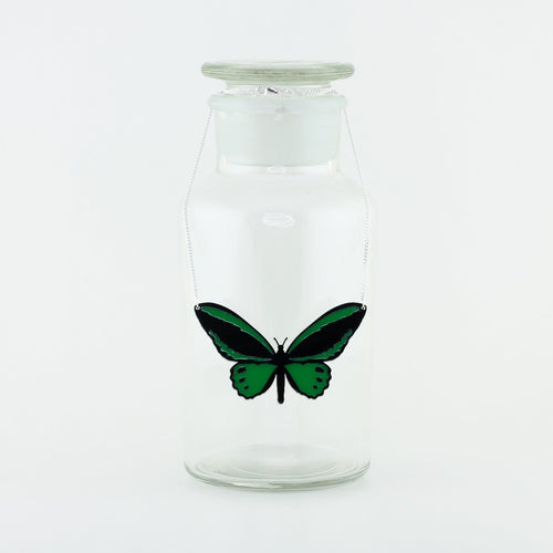 Green Birdwing Butterfly Necklace
