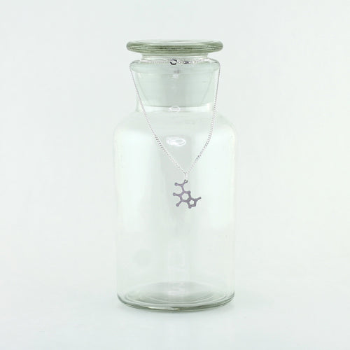 Guanine Molecule Charm Necklace in Stainless Steel