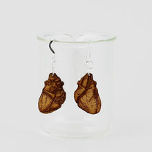 Anatomical Human Heart Earrings in Birch Plywood showing front and back designs