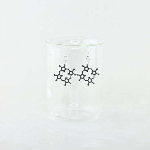 Heme Earrings in Stainless Steel