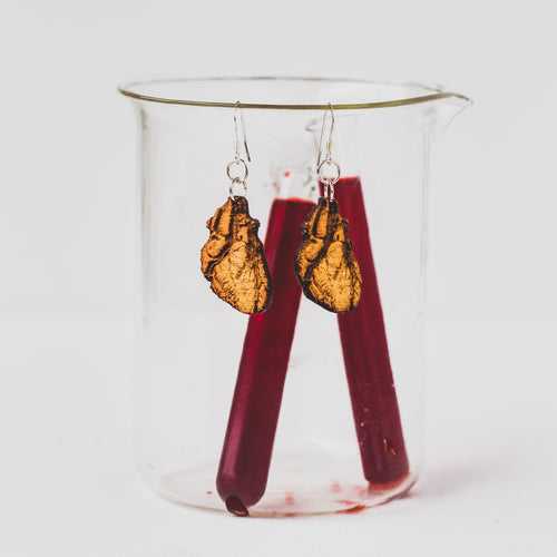 Anatomical Human Heart Earrings in Birch Plywood