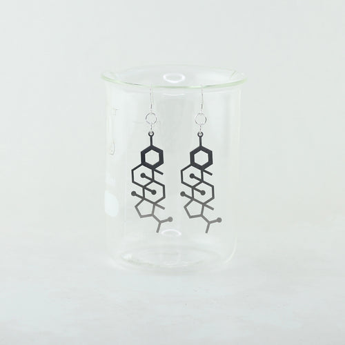 Progesterone Molecule Earrings in Stainless Steel