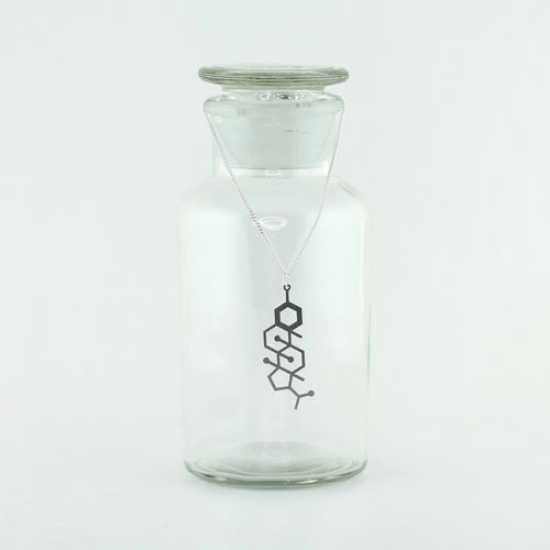 Progesterone Molecule Necklace in Stainless Steel