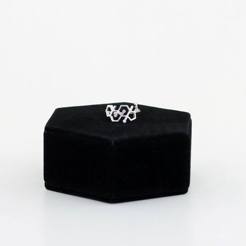 Progesterone Molecule Ring in Stainless Steel