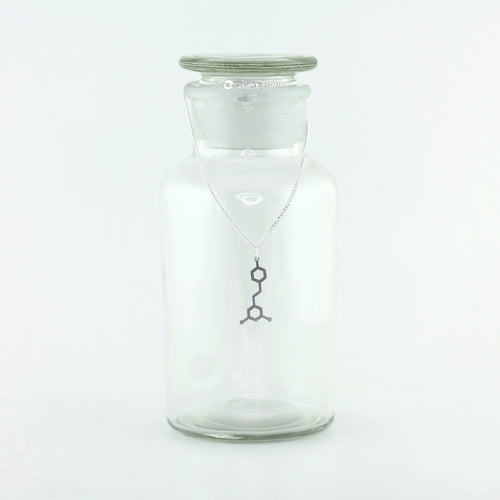 Resveratrol Molecule Necklace in Stainless Steel