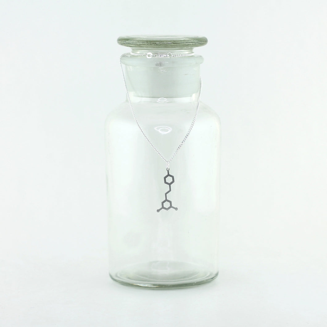 Resveratrol Molecule Necklace in Stainless Steel