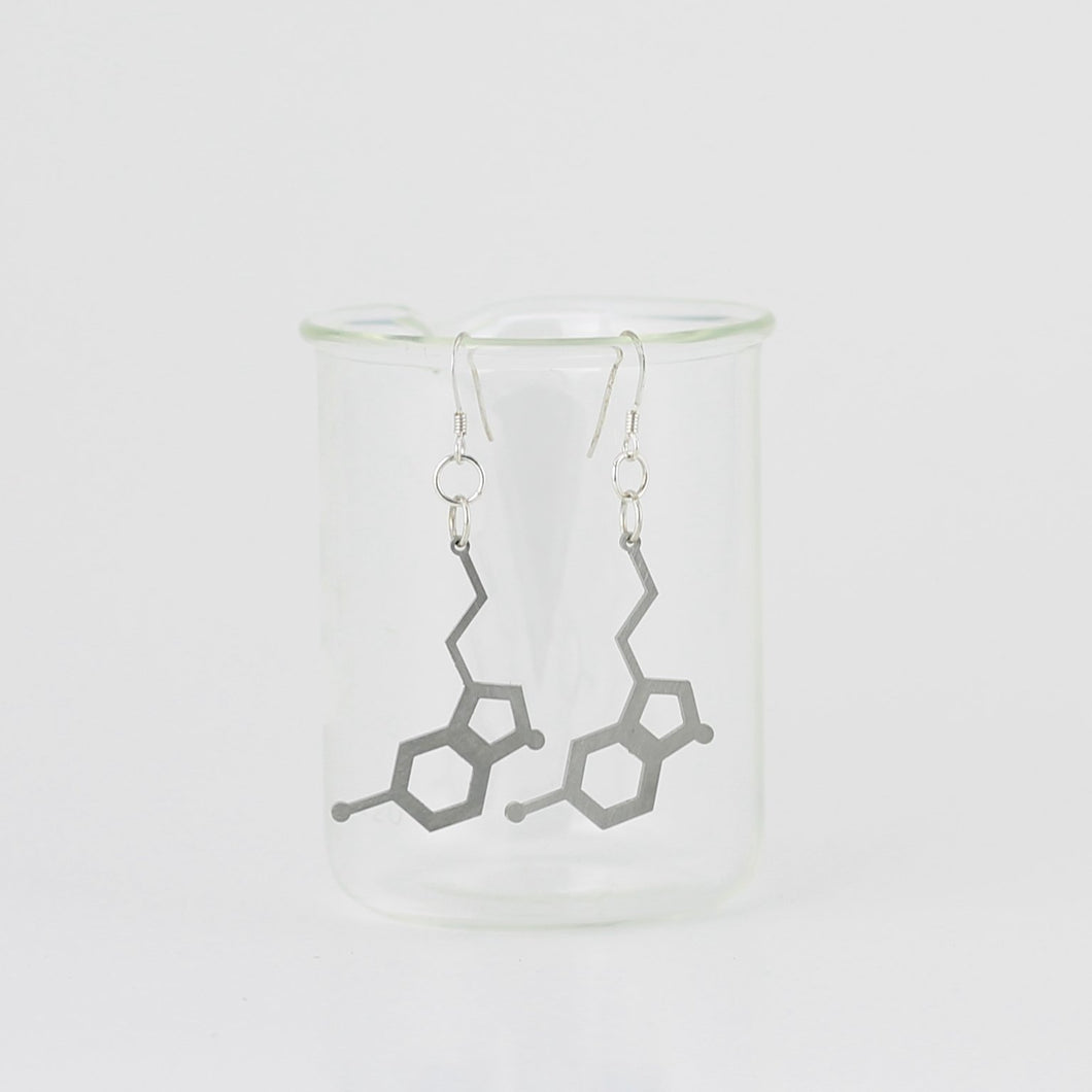 Serotonin Molecule Earrings in Stainless Steel