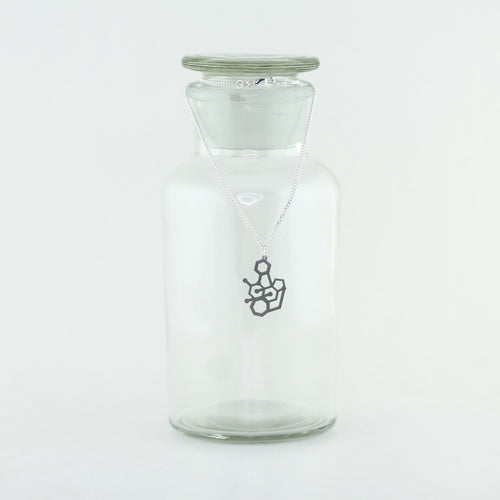 Strychnine Poison Molecule Necklace in Stainless Steel