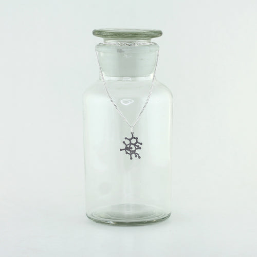 Tetrodotoxin Poison Molecule Necklace in Stainless Steel