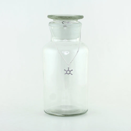 Thymine Molecule Charm Necklace in Stainless Steel