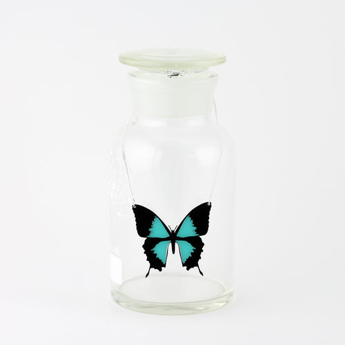 Ulysses Buttefly Necklace in Acrylic