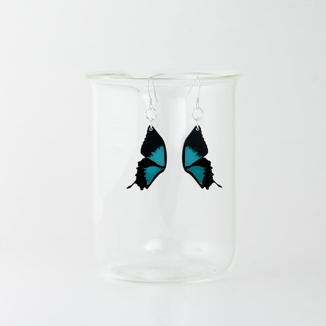 Ulysses Butterfly Earrings in Acrylic